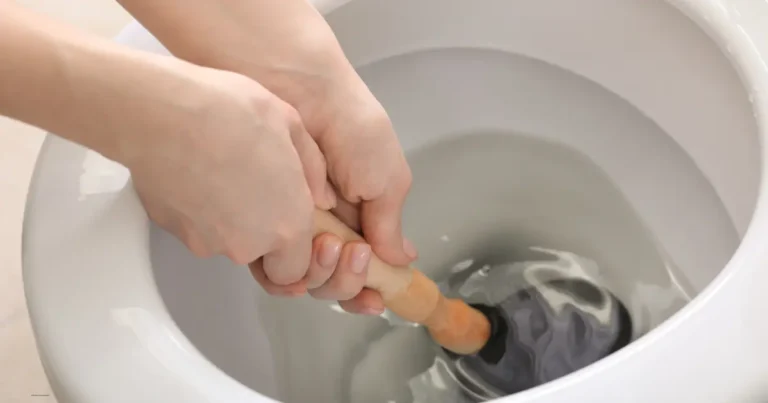 How to Unclog a Toilet